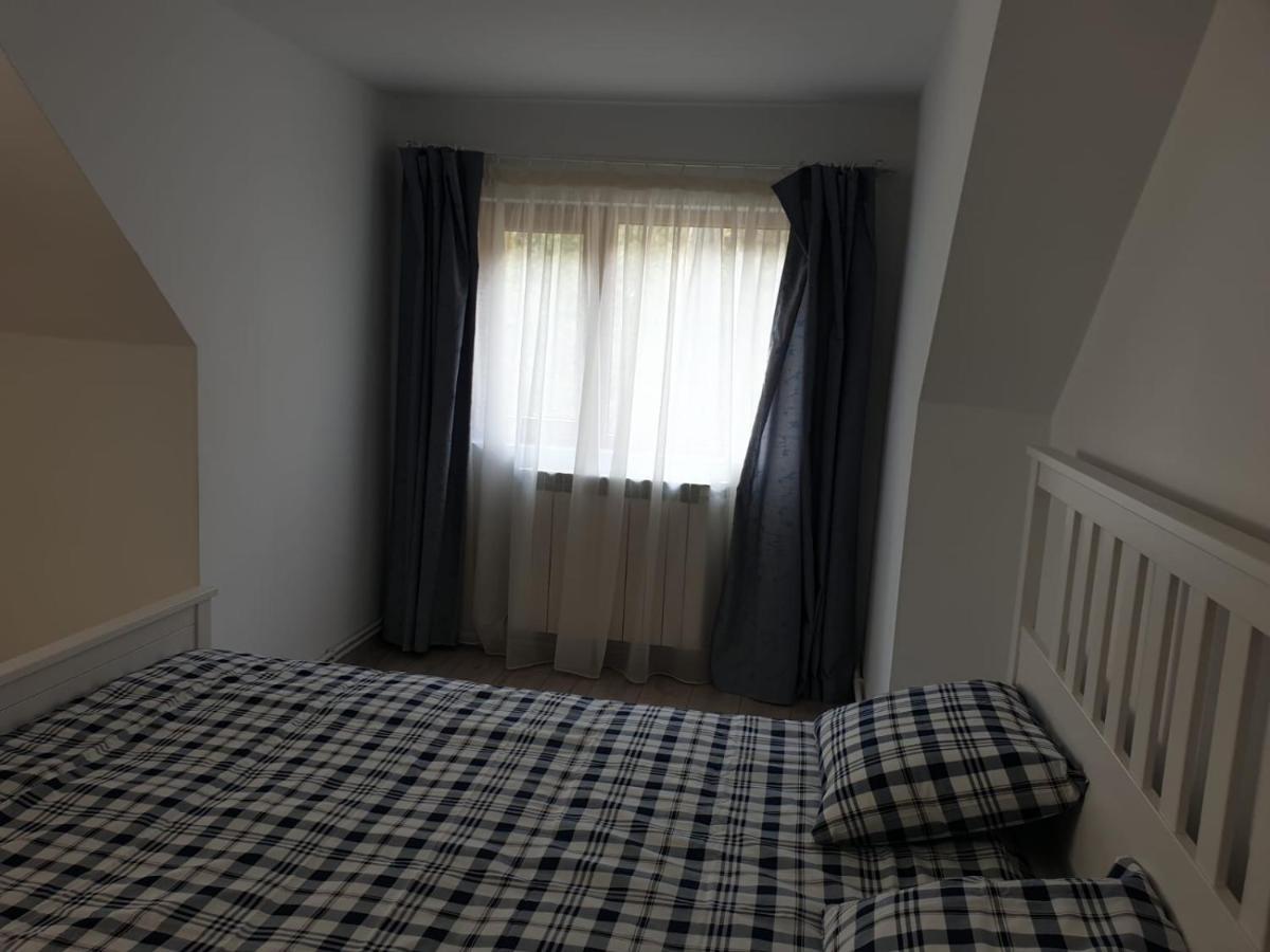 Casa Aris Lepsa Vrancea Hotell Exteriör bild