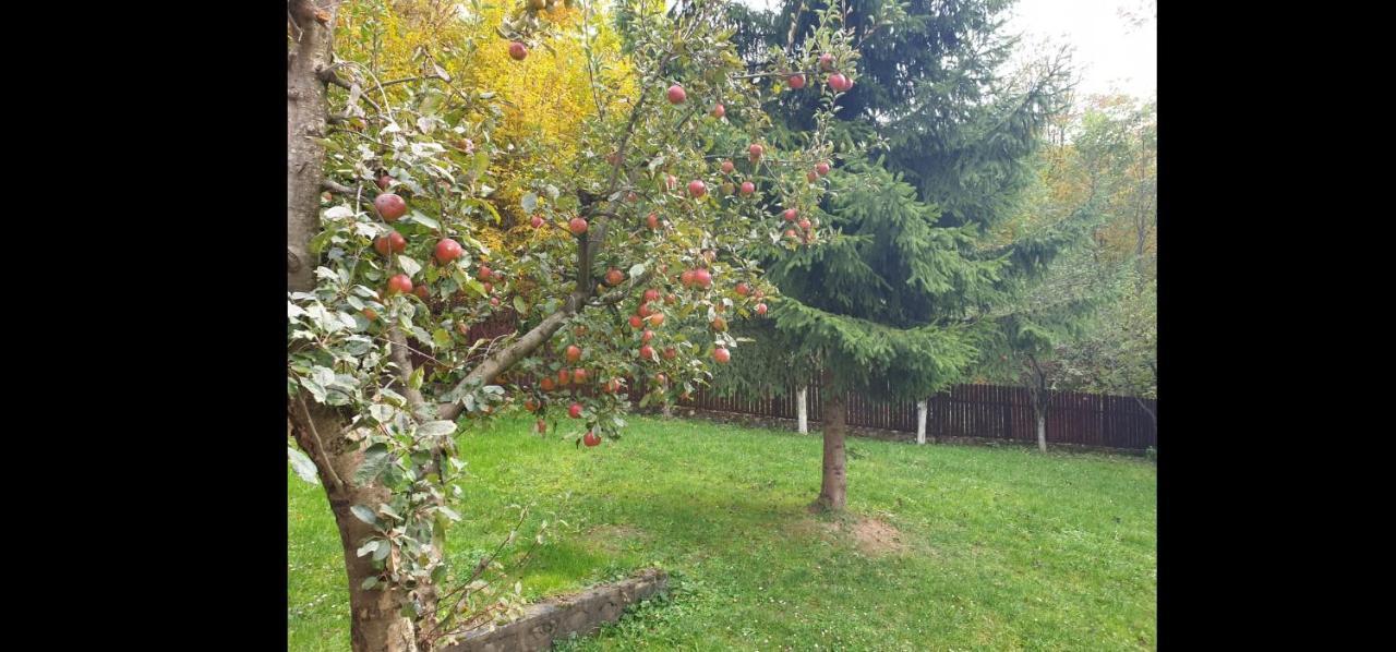 Casa Aris Lepsa Vrancea Hotell Exteriör bild