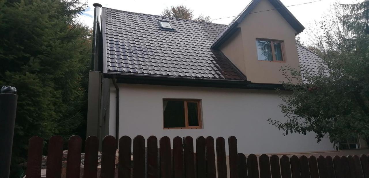 Casa Aris Lepsa Vrancea Hotell Exteriör bild
