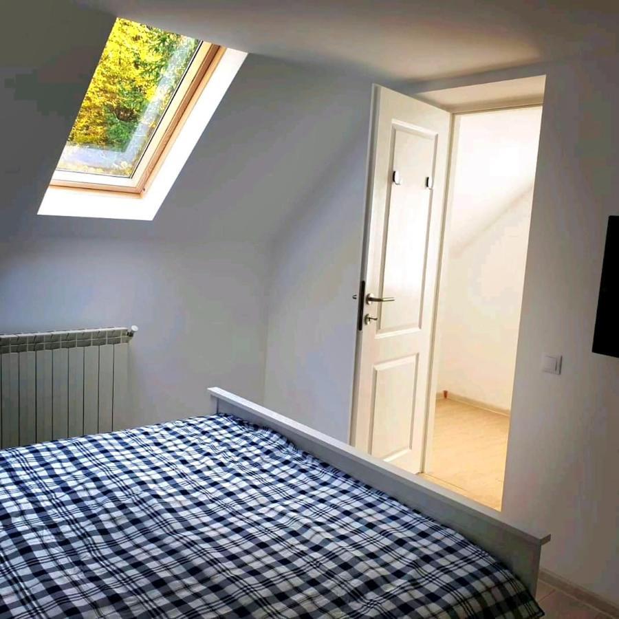 Casa Aris Lepsa Vrancea Hotell Exteriör bild