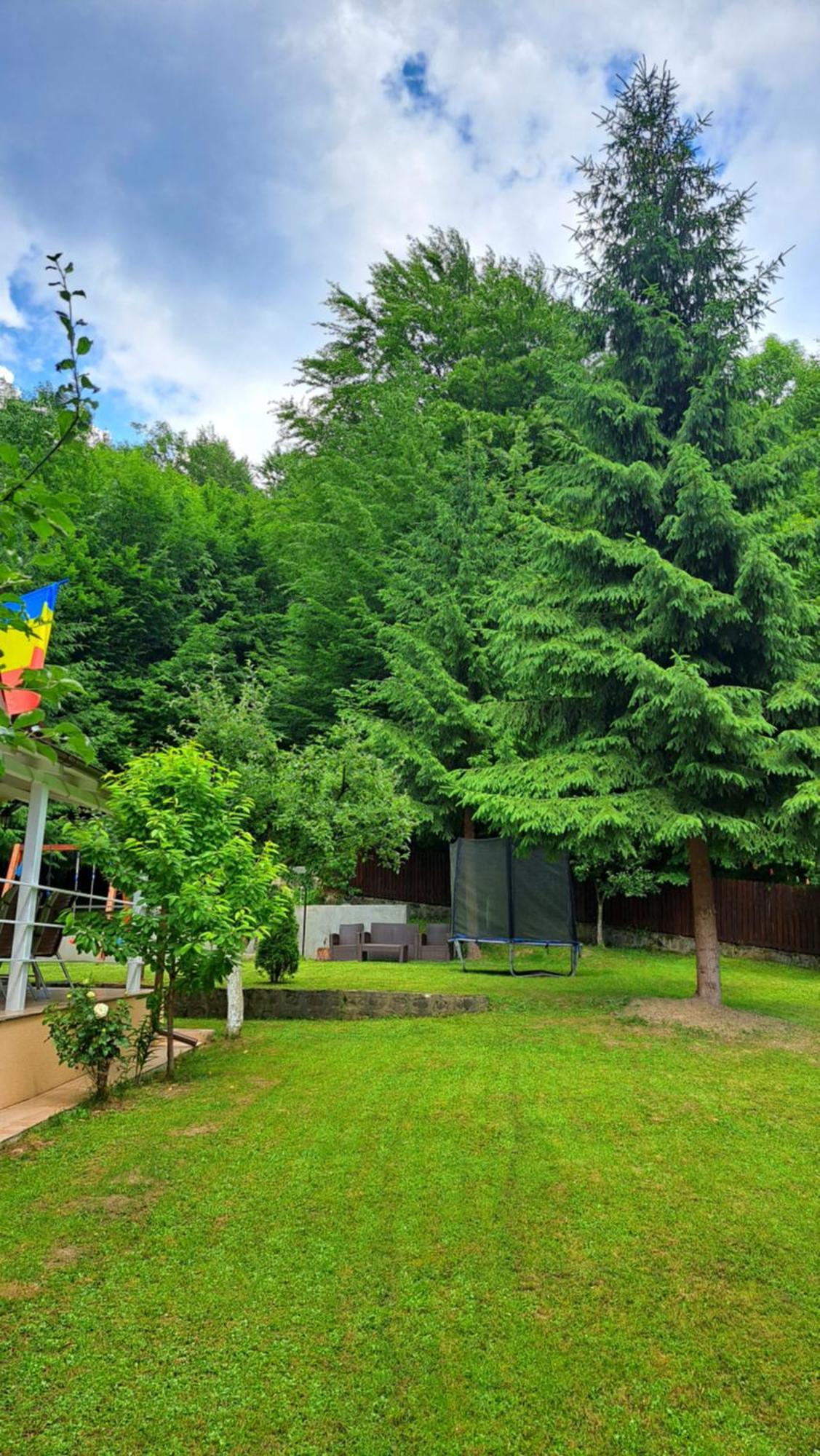 Casa Aris Lepsa Vrancea Hotell Exteriör bild