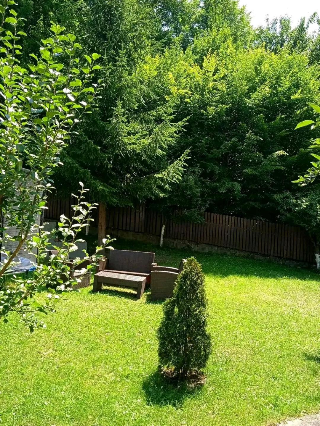 Casa Aris Lepsa Vrancea Hotell Exteriör bild