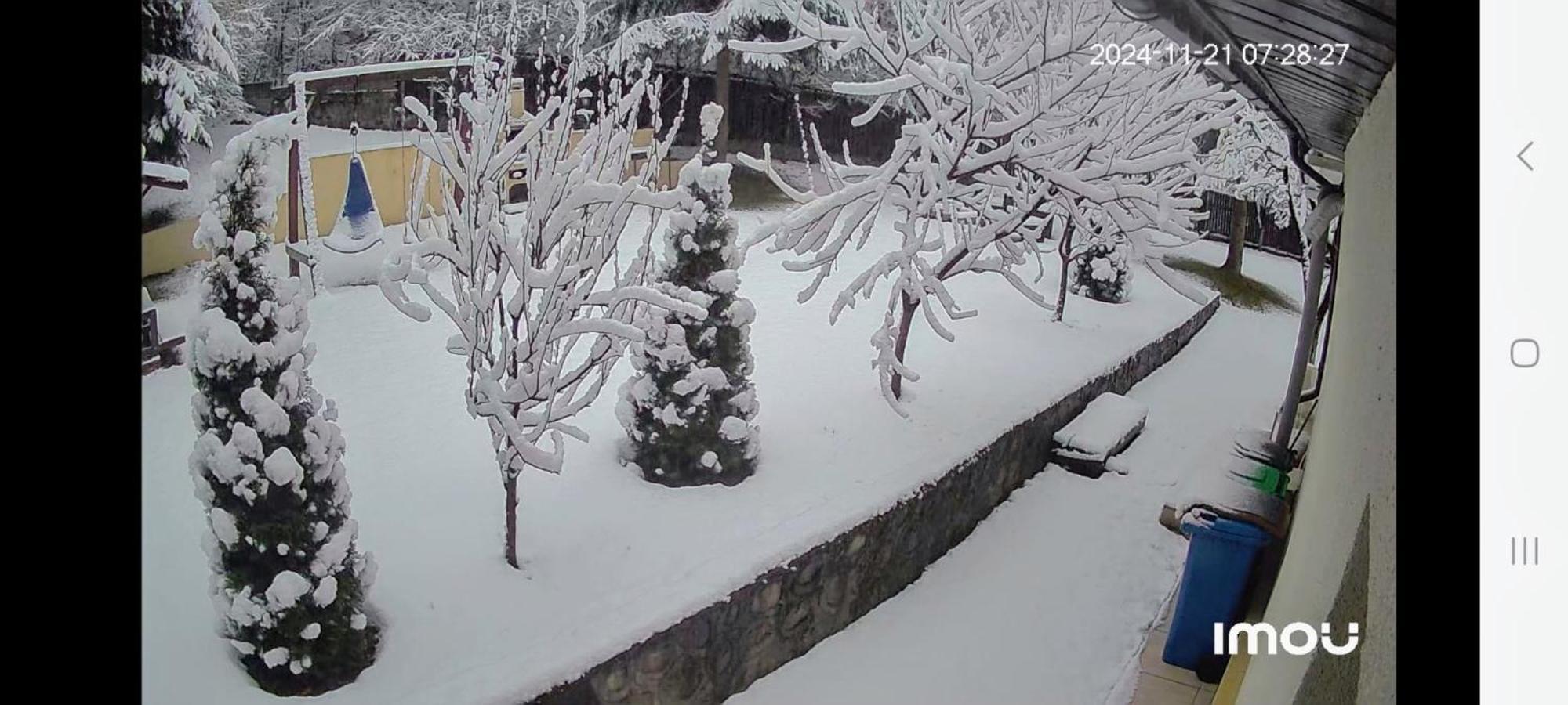 Casa Aris Lepsa Vrancea Hotell Exteriör bild