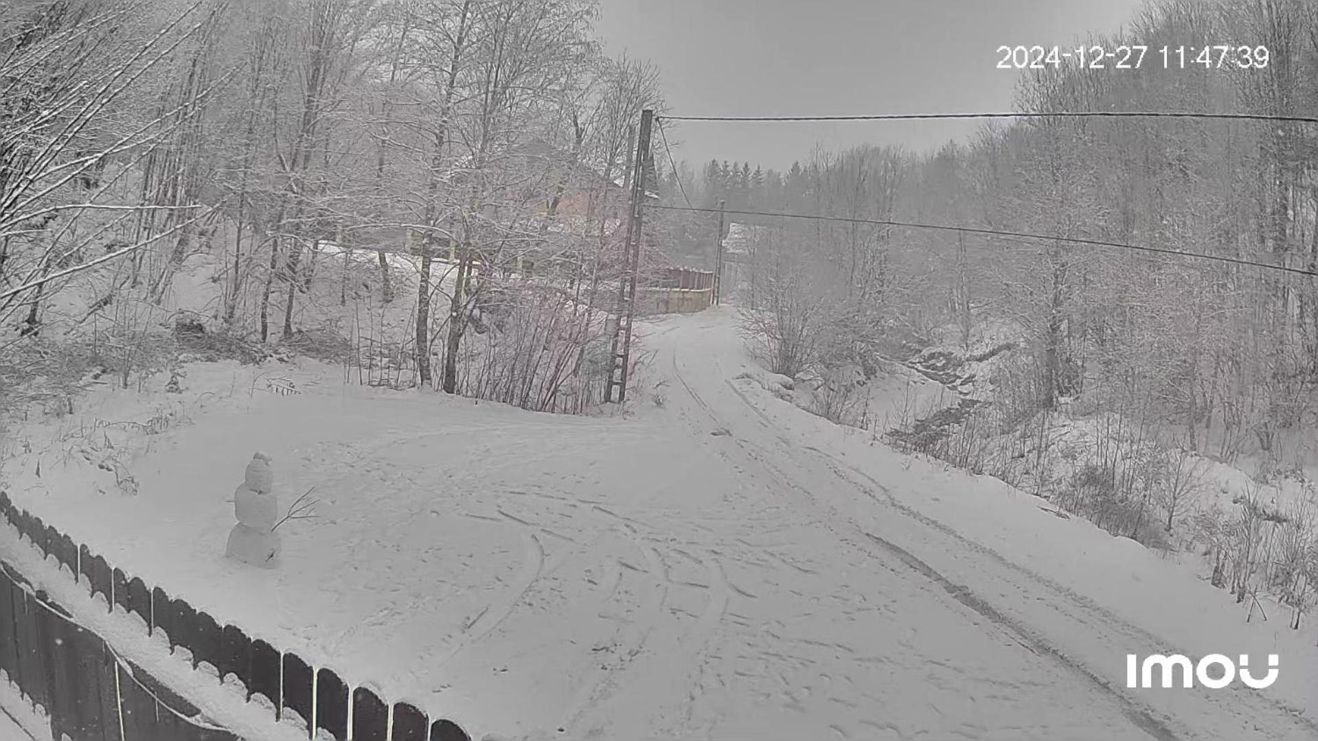 Casa Aris Lepsa Vrancea Hotell Exteriör bild