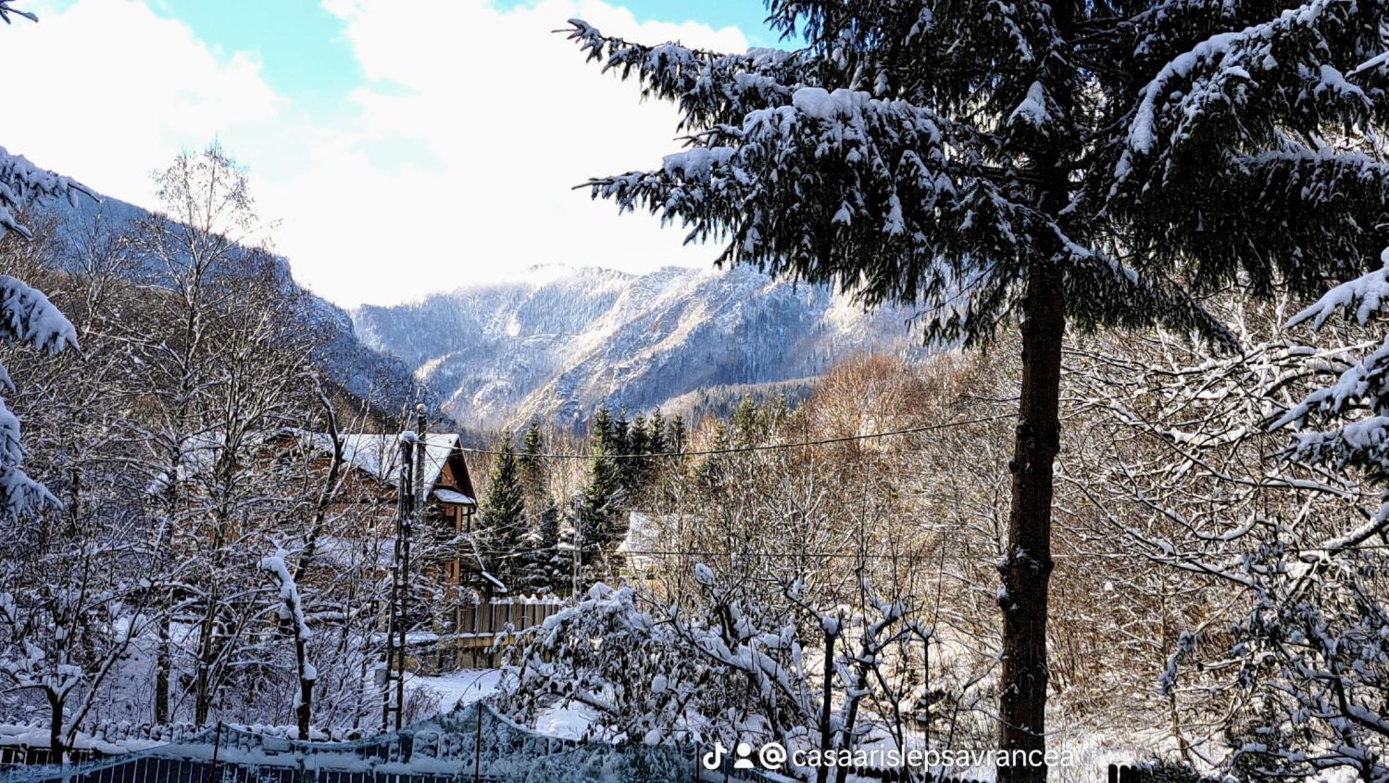Casa Aris Lepsa Vrancea Hotell Exteriör bild